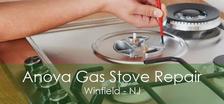 Anova Gas Stove Repair Winfield - NJ