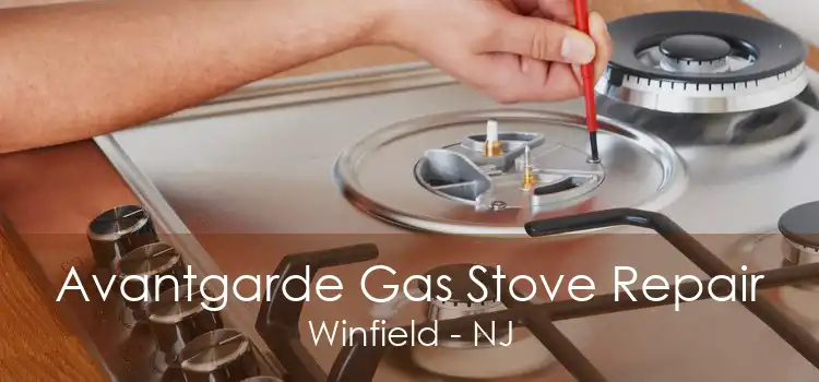 Avantgarde Gas Stove Repair Winfield - NJ