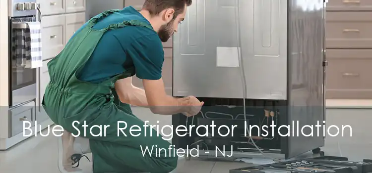 Blue Star Refrigerator Installation Winfield - NJ