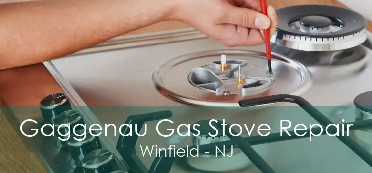 Gaggenau Gas Stove Repair Winfield - NJ