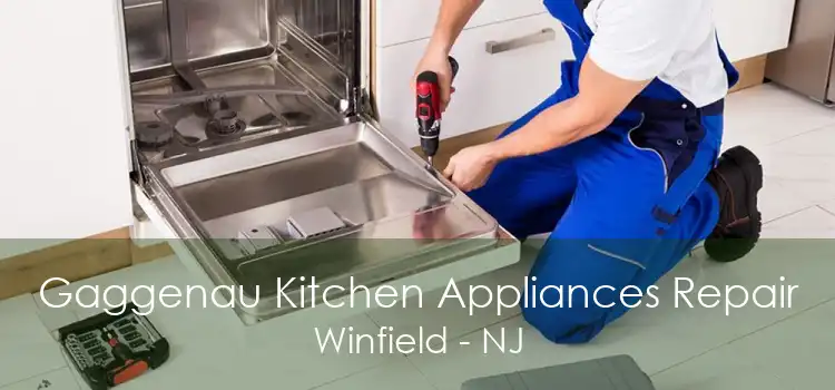 Gaggenau Kitchen Appliances Repair Winfield - NJ