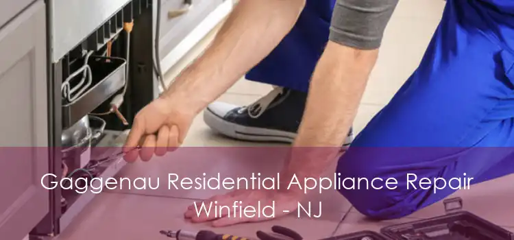 Gaggenau Residential Appliance Repair Winfield - NJ