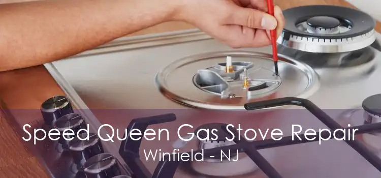 Speed Queen Gas Stove Repair Winfield - NJ